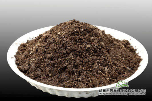 pg电子模拟器(中国)官方网站