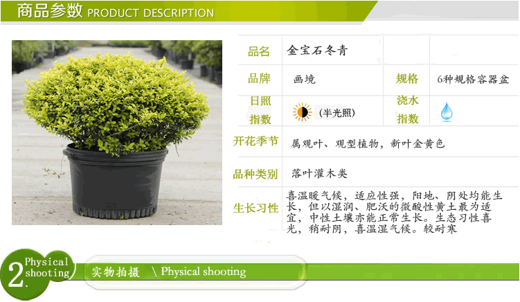 pg电子模拟器(中国)官方网站