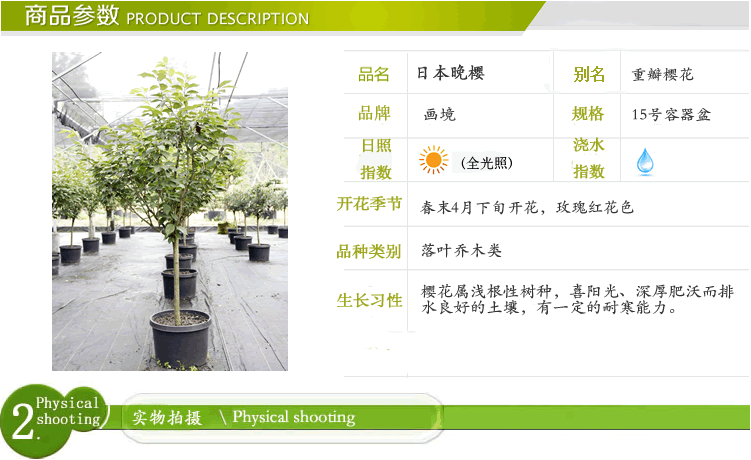 pg电子模拟器(中国)官方网站
