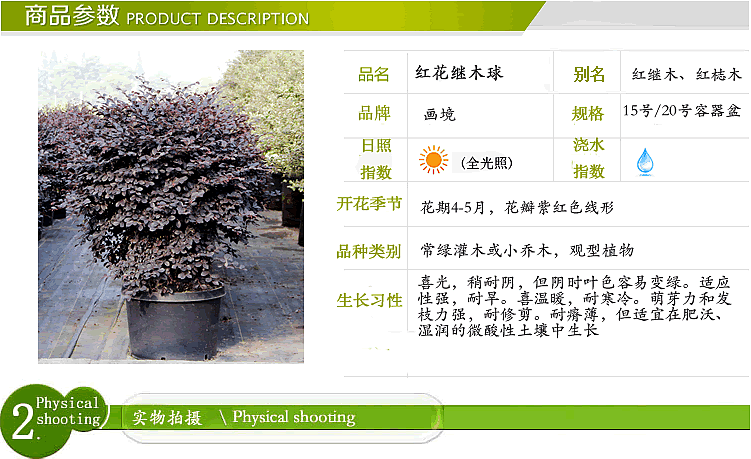 pg电子模拟器(中国)官方网站