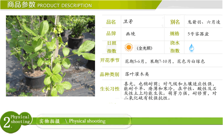 pg电子模拟器(中国)官方网站
