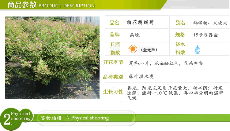 pg电子模拟器(中国)官方网站