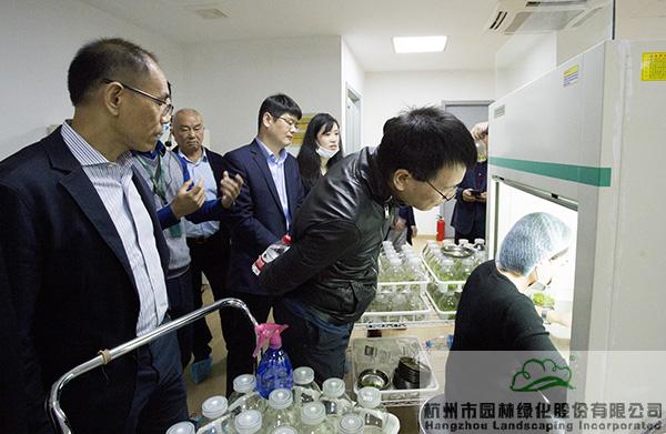 pg电子模拟器(中国)官方网站