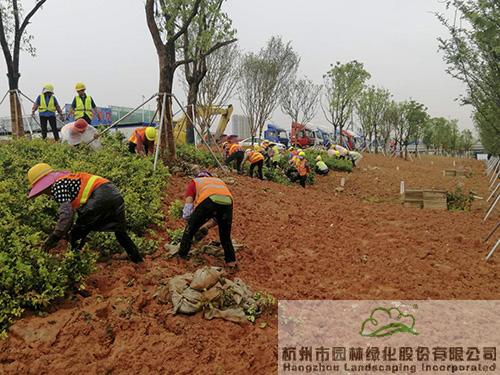 pg电子模拟器(中国)官方网站