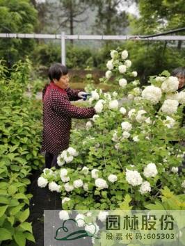 pg电子模拟器(中国)官方网站