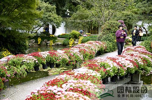 pg电子模拟器(中国)官方网站