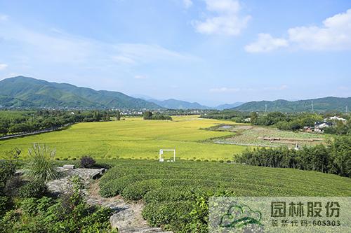 pg电子模拟器(中国)官方网站