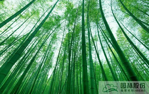 pg电子模拟器(中国)官方网站