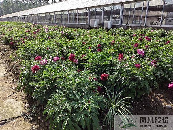 pg电子模拟器(中国)官方网站