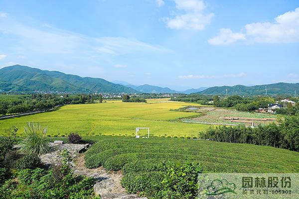 pg电子模拟器(中国)官方网站