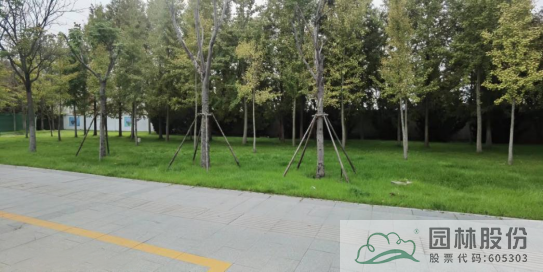 pg电子模拟器(中国)官方网站