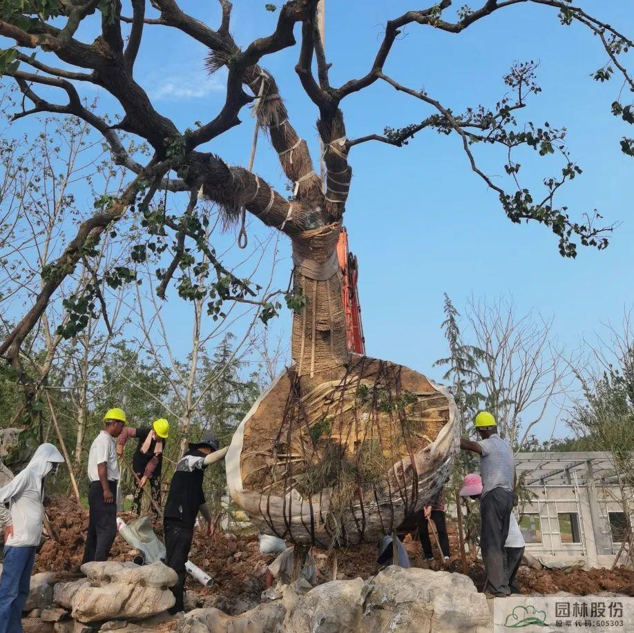 pg电子模拟器(中国)官方网站