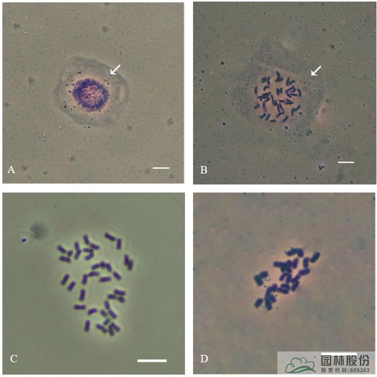 pg电子模拟器(中国)官方网站