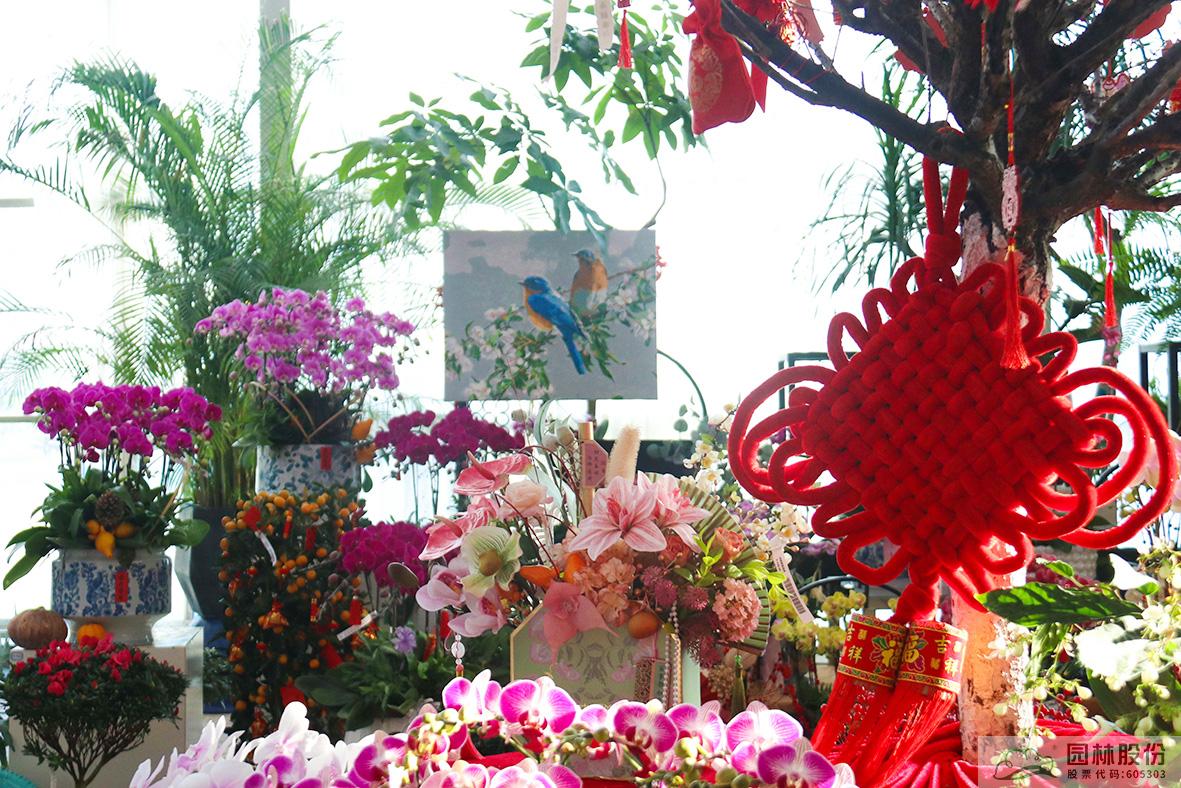 pg电子模拟器(中国)官方网站