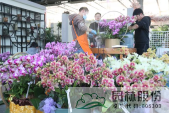 pg电子模拟器(中国)官方网站