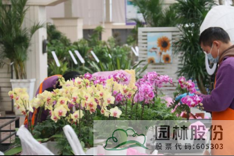 pg电子模拟器(中国)官方网站