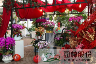 pg电子模拟器(中国)官方网站