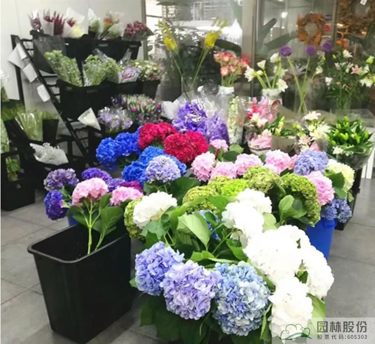 pg电子模拟器(中国)官方网站