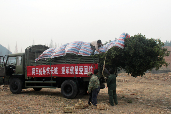 pg电子模拟器(中国)官方网站