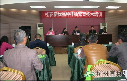 pg电子模拟器(中国)官方网站