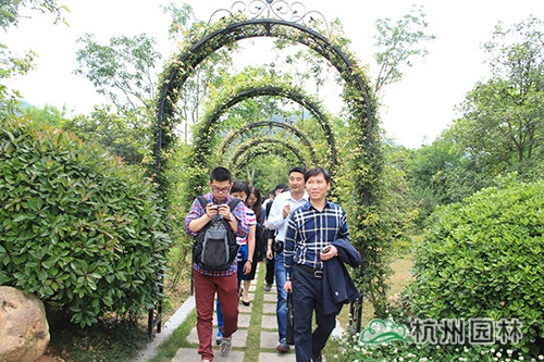 pg电子模拟器(中国)官方网站