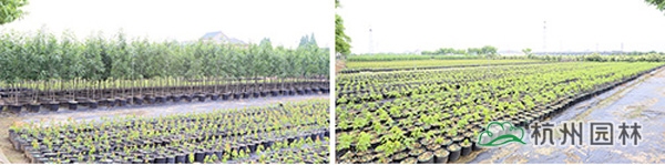 pg电子模拟器(中国)官方网站