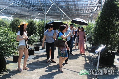 pg电子模拟器(中国)官方网站