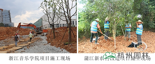 pg电子模拟器(中国)官方网站