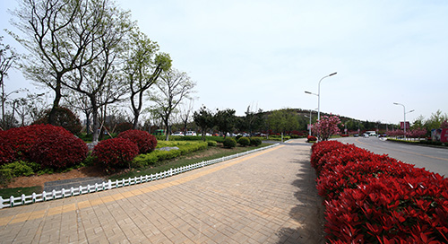 pg电子模拟器(中国)官方网站