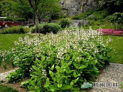 pg电子模拟器(中国)官方网站