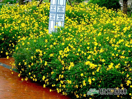 pg电子模拟器(中国)官方网站