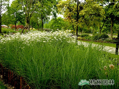 pg电子模拟器(中国)官方网站