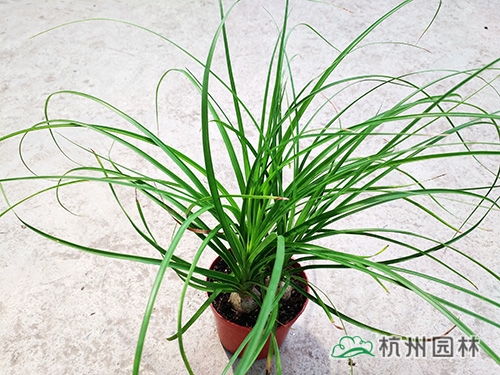 pg电子模拟器(中国)官方网站