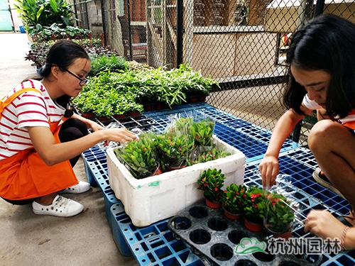 pg电子模拟器(中国)官方网站