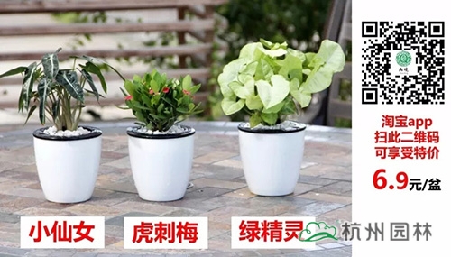 pg电子模拟器(中国)官方网站