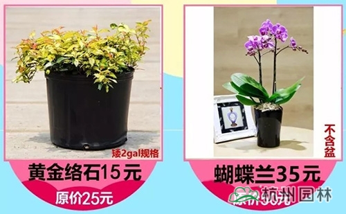 pg电子模拟器(中国)官方网站