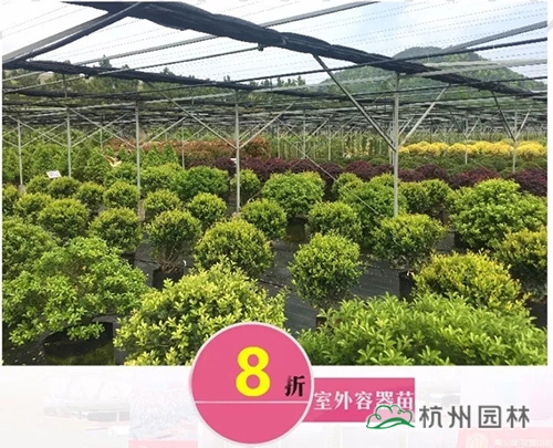 pg电子模拟器(中国)官方网站