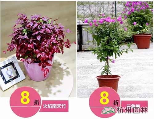 pg电子模拟器(中国)官方网站