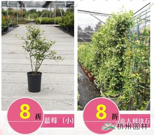 pg电子模拟器(中国)官方网站