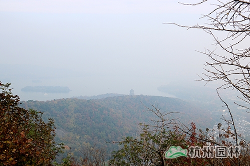 pg电子模拟器(中国)官方网站