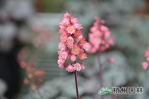 pg电子模拟器(中国)官方网站