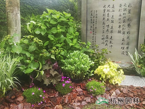 pg电子模拟器(中国)官方网站